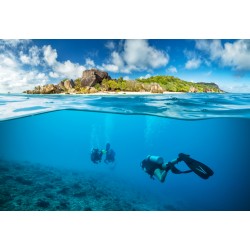 Plongée bouteille 20mètres...