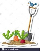 Des Racines et des Pelles - Le meilleur pour votre Jardin et votre intérieur